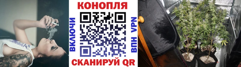 Канабис AK-47  Узловая 